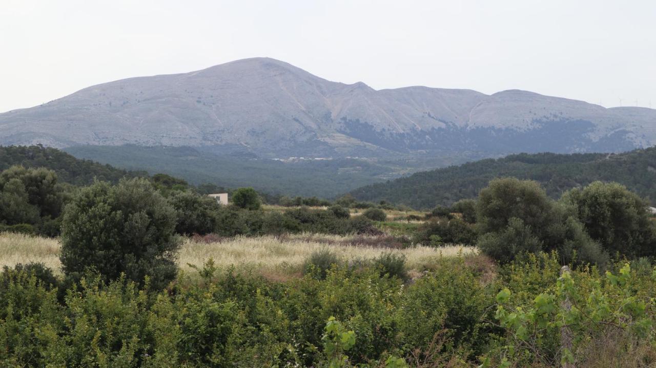 Echo Traditional House - Ηχώ Παραδοσιακό Σπίτι Embonas Экстерьер фото